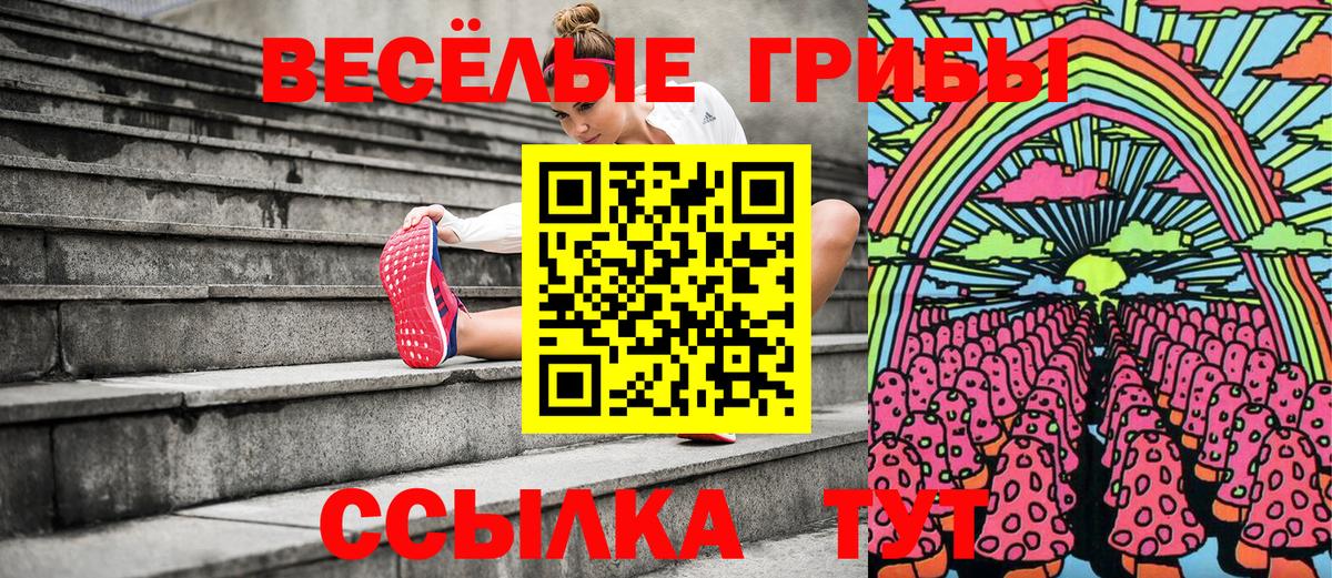 Псилоцибиновые грибы Psilocybe Когалым